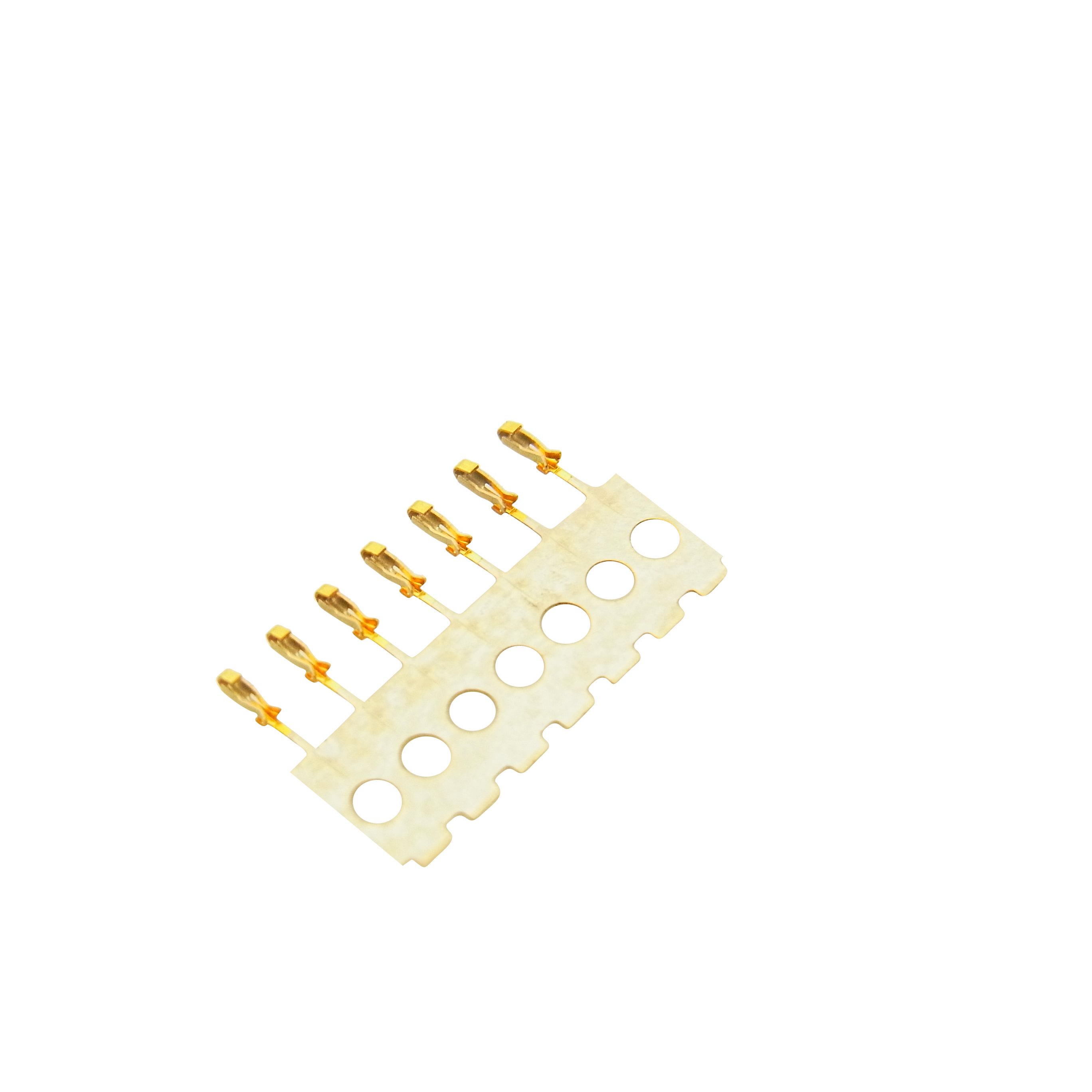 仙踪林在线入口端子 仙踪林在线入口端子