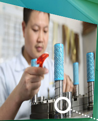 仙踪林在线入口冲压连续模