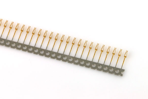 仙踪林在线入口端子 仙踪林在线入口端子