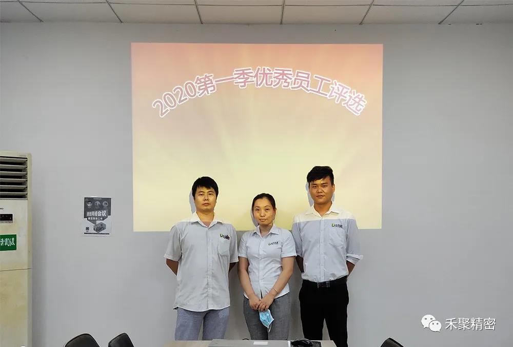 仙踪林视频APP公司 仙踪林视频APP公司