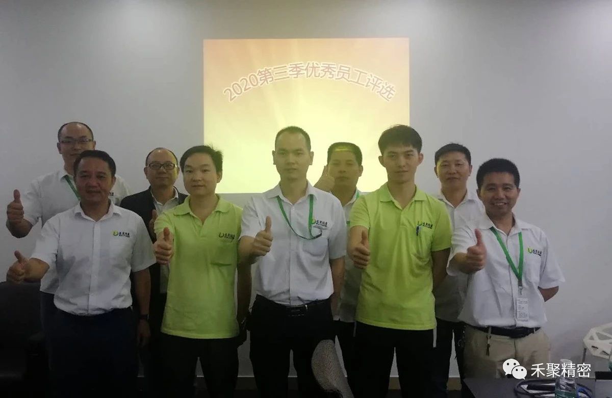 仙踪林视频APP精密 仙踪林视频APP精密