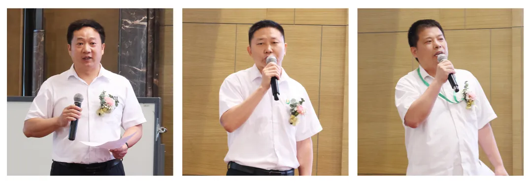 精密仙踪林在线入口冲压